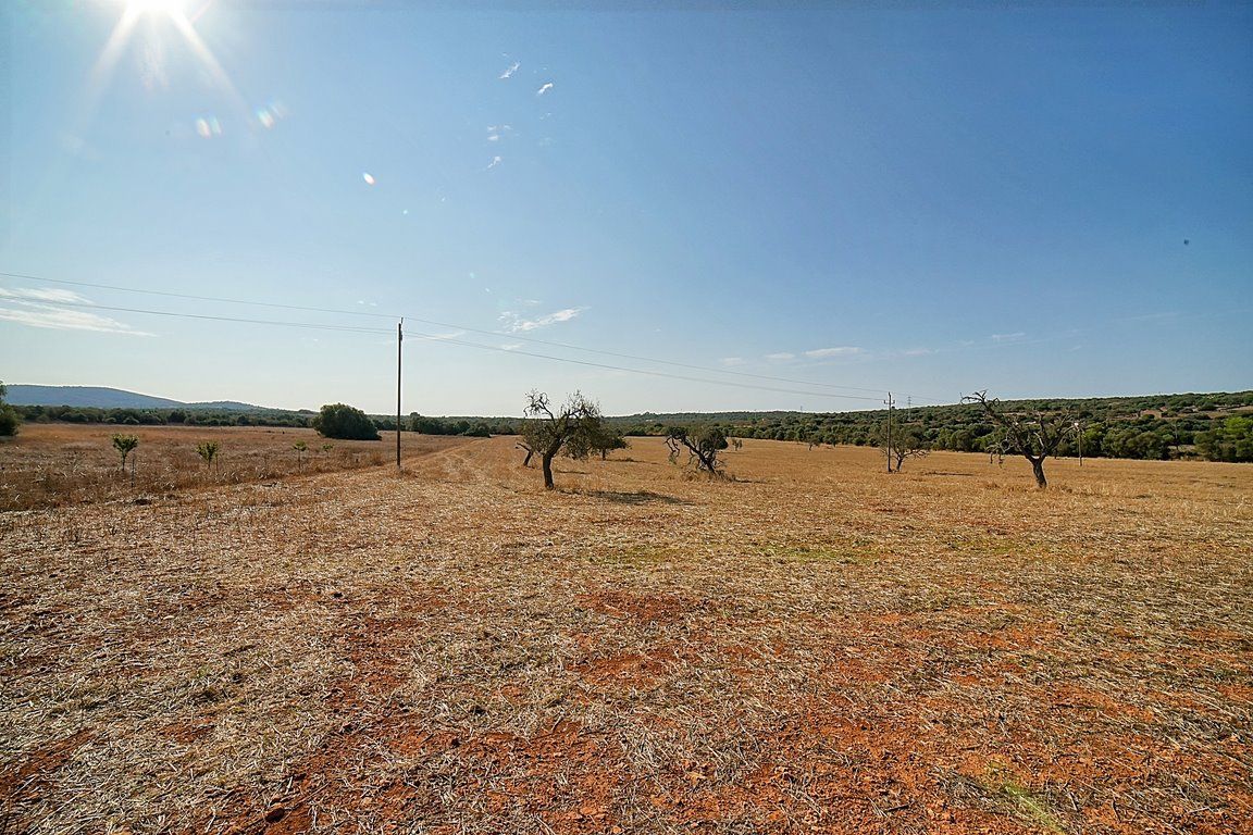 Finca rústica de 167.000 m² entre Campos y Santanyí