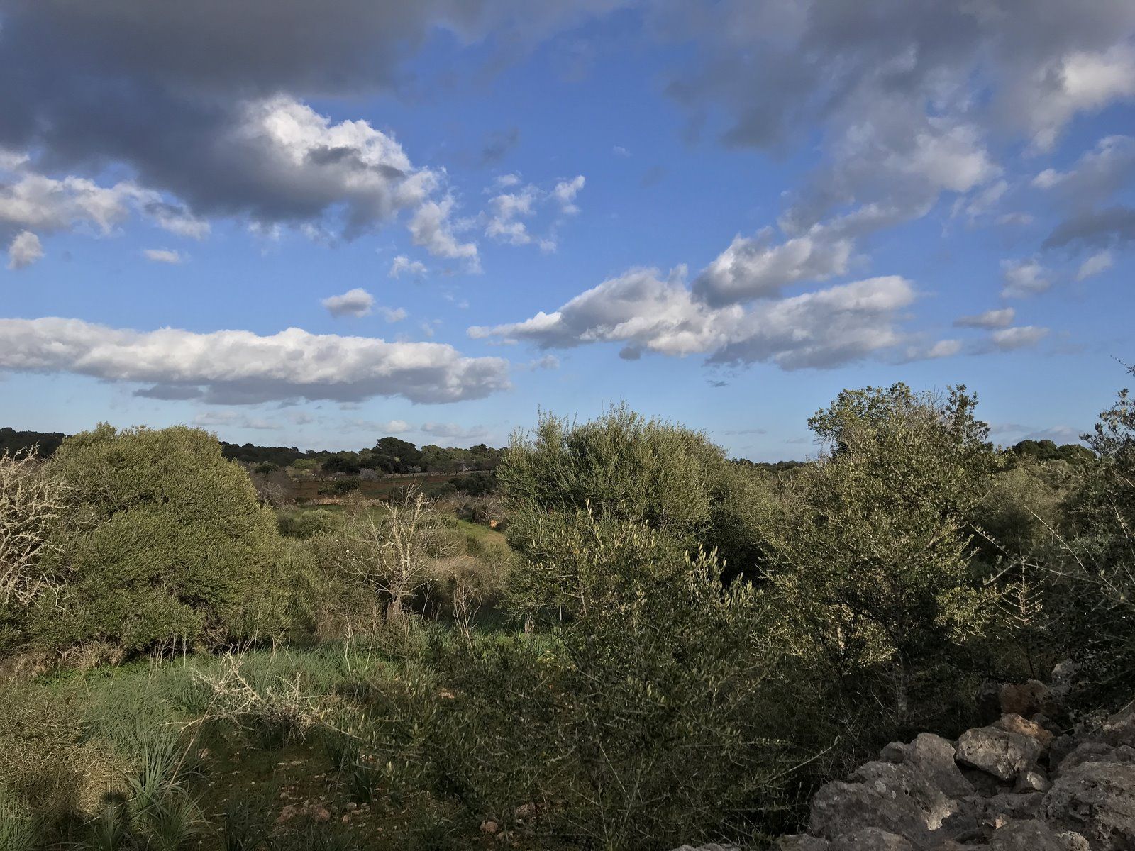 3-Villasyfincasmallorca-4.jpg Country Home Plot with Project Near Santanyí: 20,000 m² Land