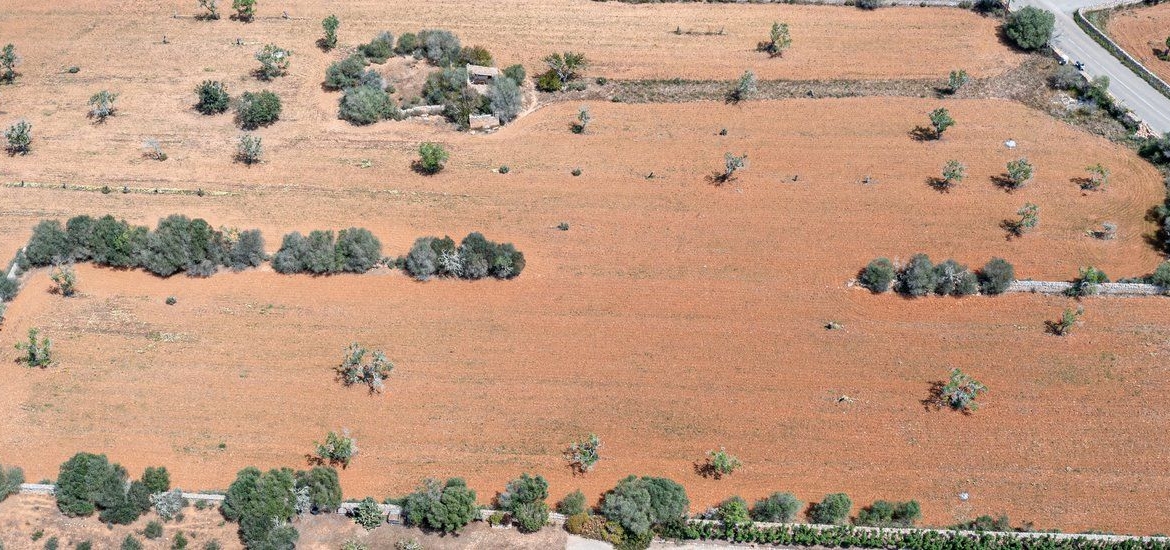 Rustic Land with Building Project Near Cala Llombards, Santanyí