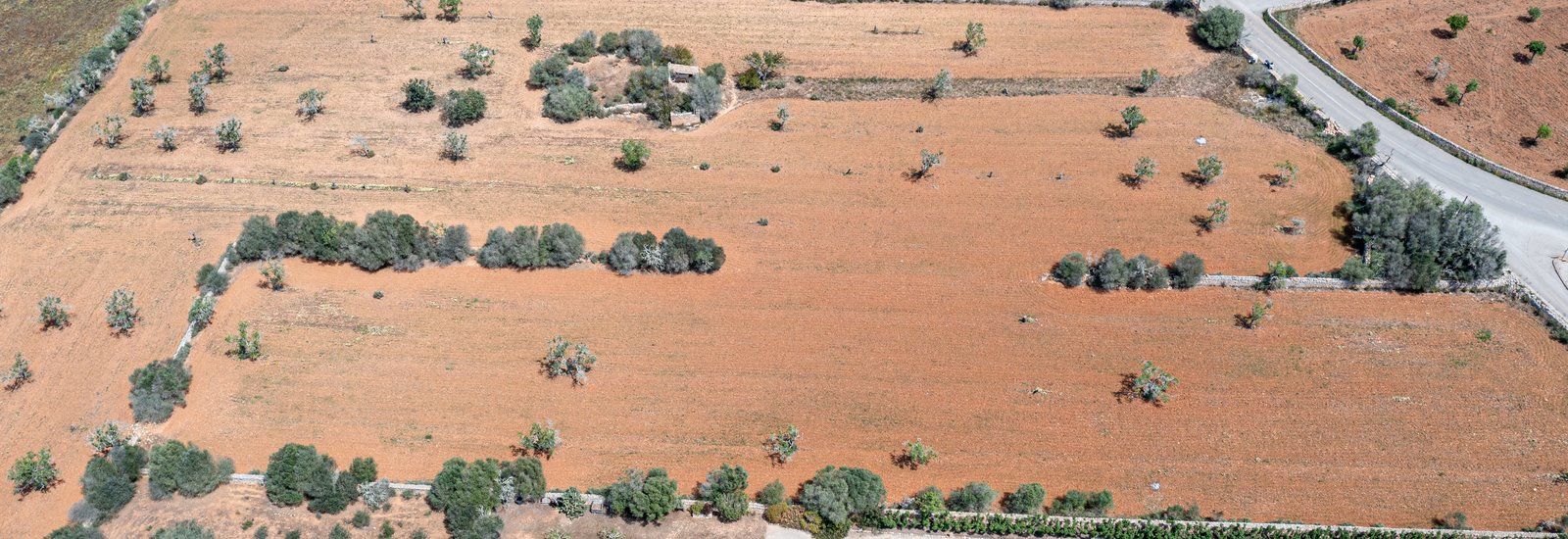 4-1202-Villasyfincasmallorca.jpg Rustic Land with Building Project Near Cala Llombards, Santanyí