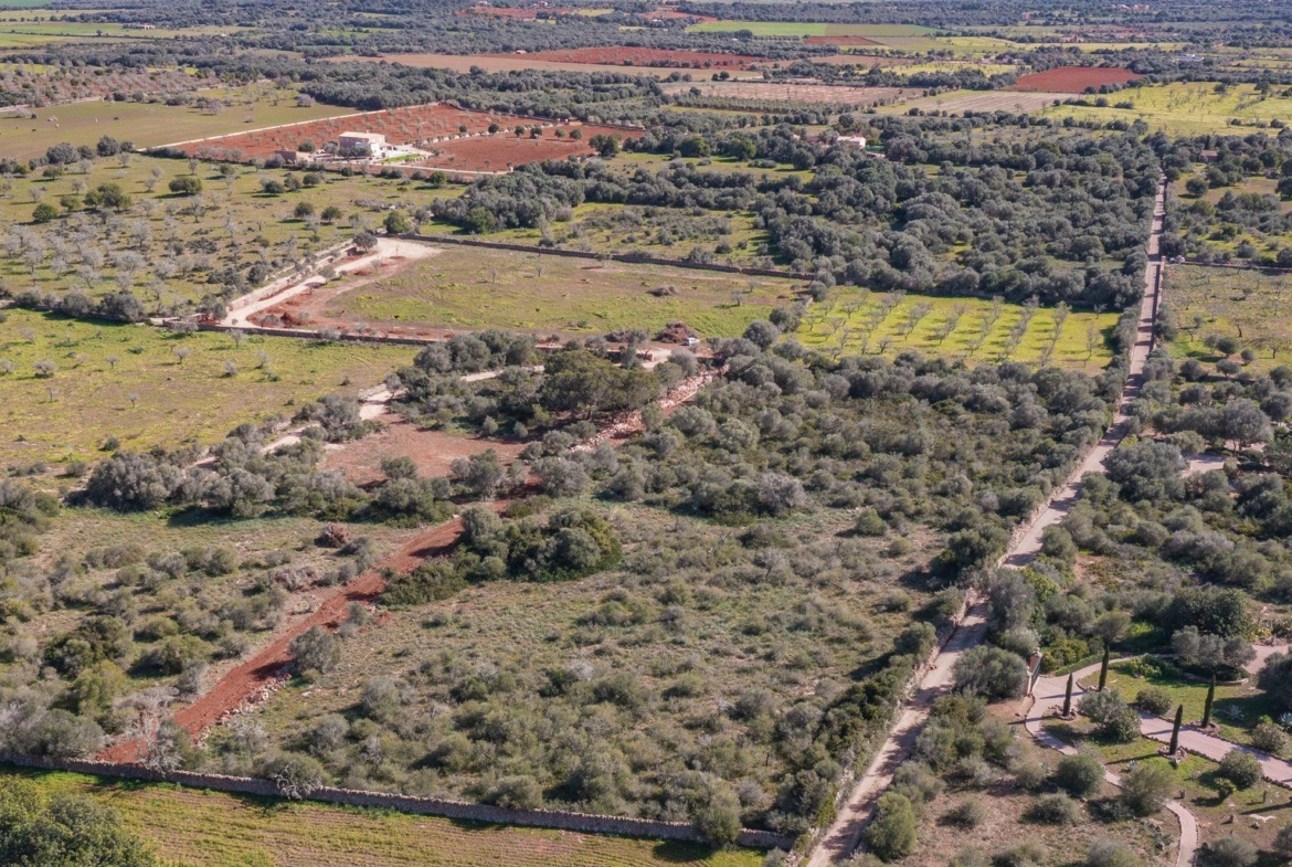 Rustikales Grundstück mit Meerblick in Ses Salines, Mallorca