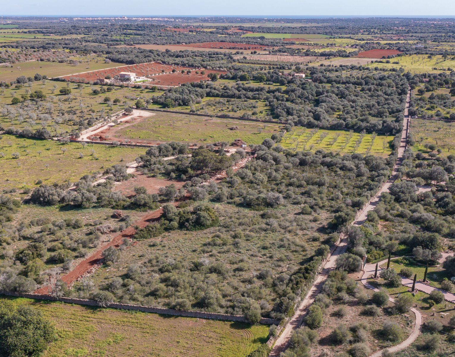 Rustikales Grundstück mit Meerblick in Ses Salines, Mallorca