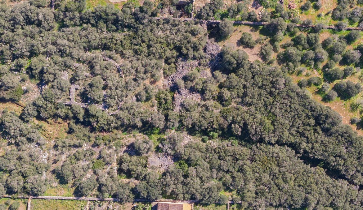 Rustic Land with Sea Views for Sale in Ses Salines, Mallorca