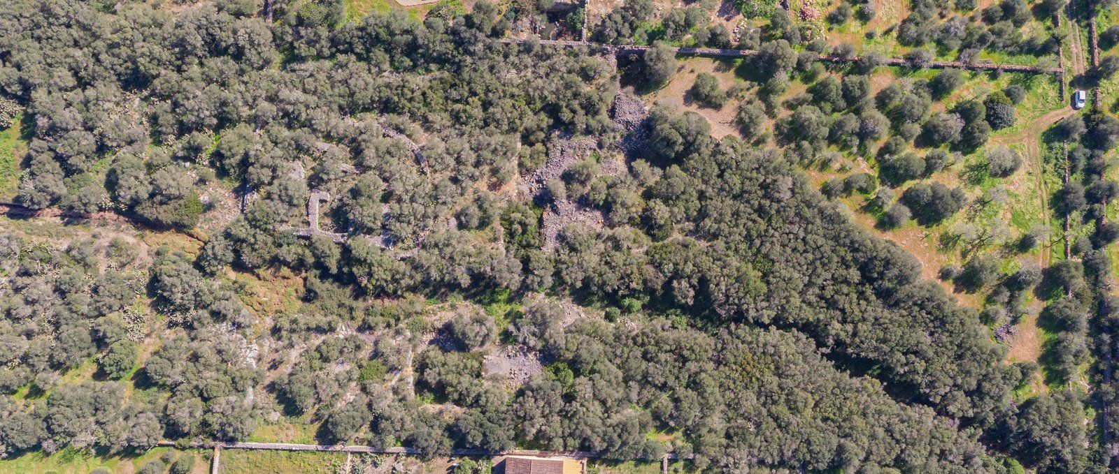 Rustic Land with Sea Views for Sale in Ses Salines, Mallorca