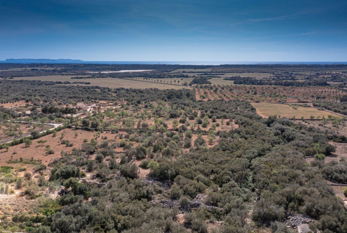 Rustic Land with Sea Views for Sale in Ses Salines, Mallorca