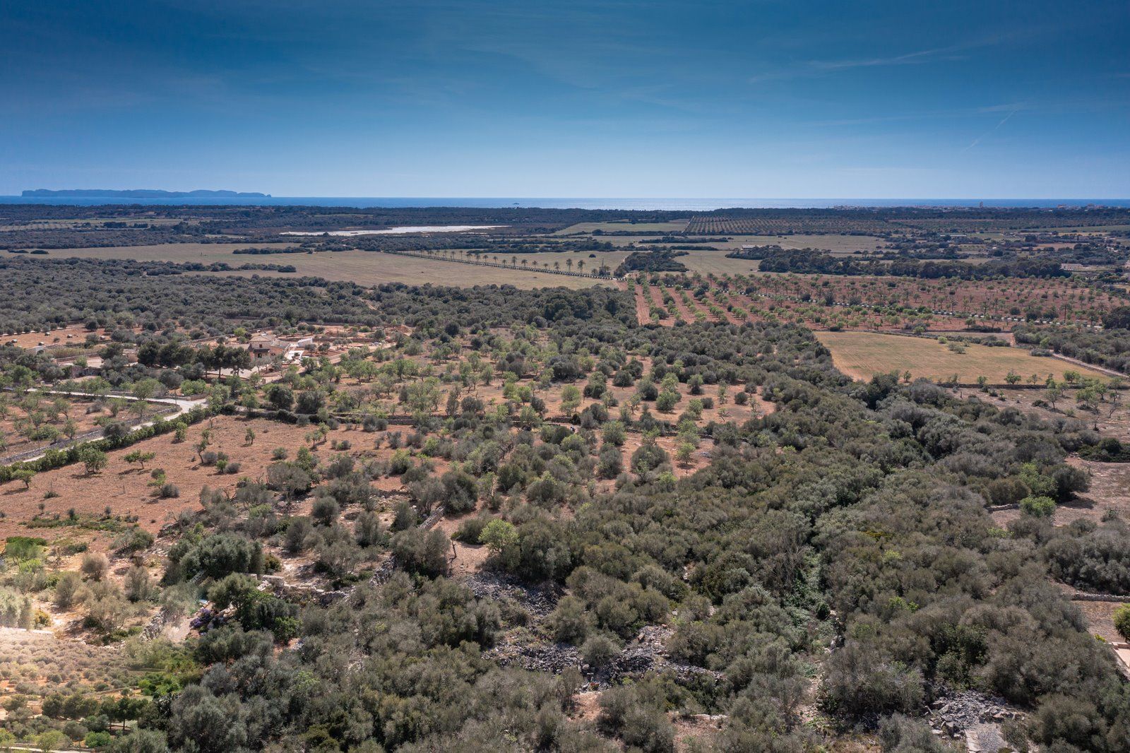 Rustic Land with Sea Views for Sale in Ses Salines, Mallorca