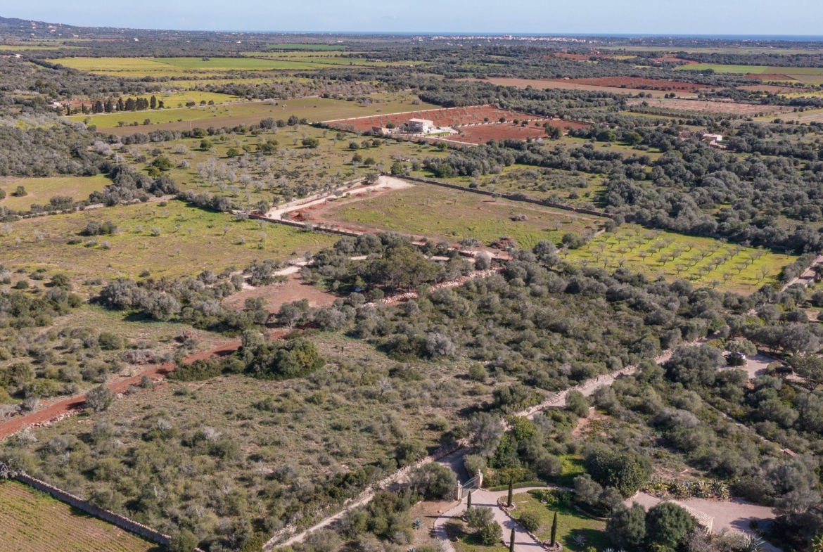 Rustikales Grundstück mit Meerblick in Ses Salines, Mallorca