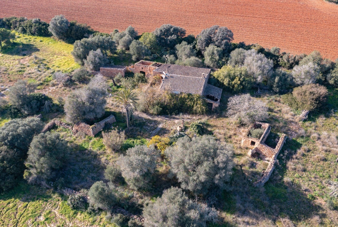 Finca rústica junto a Cala Pí — 136.400 m², término Llucmajor, a 10 min de la costa
