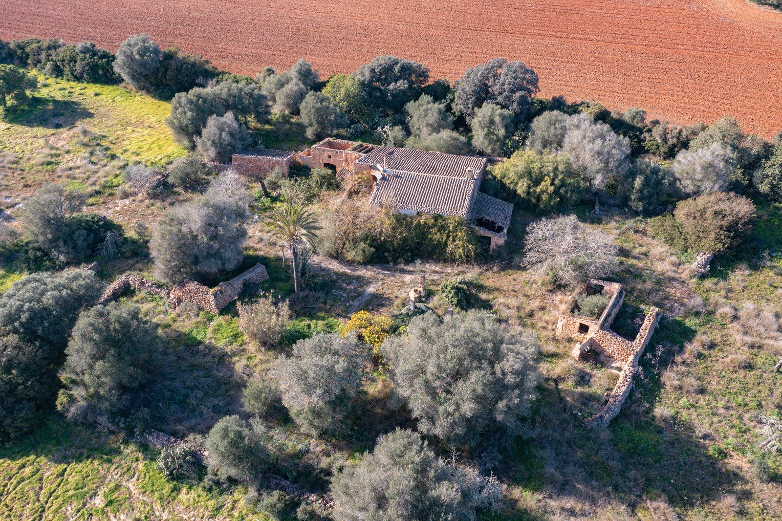 5-866-Villasyfincasmallorca.jpg Finca rústica junto a Cala Pí — 136.400 m², término Llucmajor, a 10 min de la costa