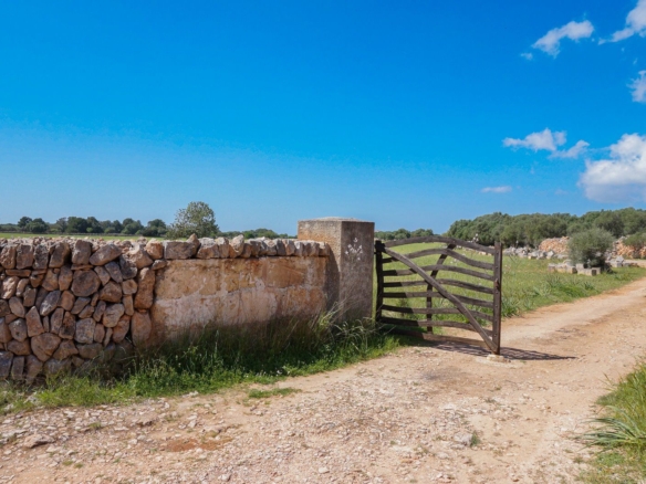 Finca rústica junto a Cala Pí — 136.400 m², término Llucmajor, a 10 min de la costa