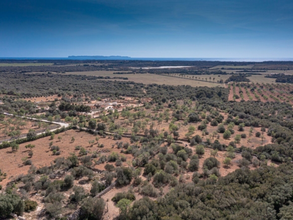 Terreno rústico con vistas al mar en Ses Salines, Mallorca