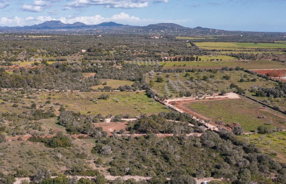 Rustikales Grundstück mit Meerblick in Ses Salines, Mallorca