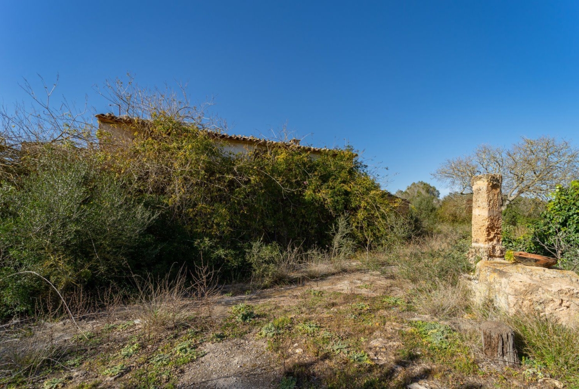 Finca rústica junto a Cala Pí — 136.400 m², término Llucmajor, a 10 min de la costa