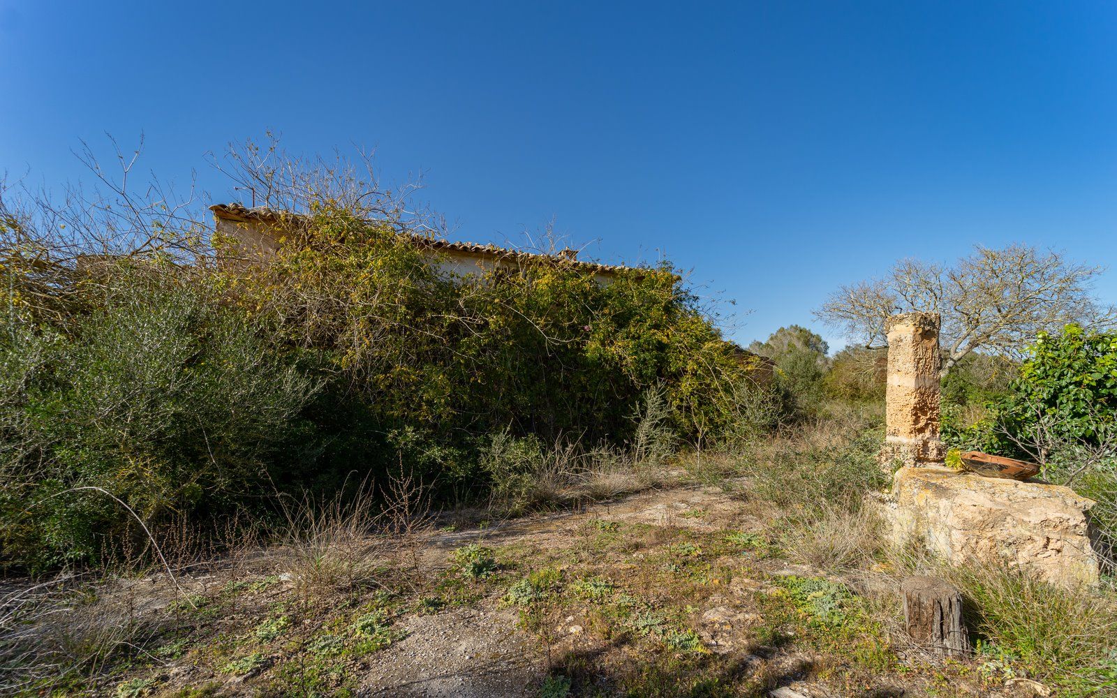 6-866-Villasyfincasmallorca.jpg Finca rústica junto a Cala Pí — 136.400 m², término Llucmajor, a 10 min de la costa
