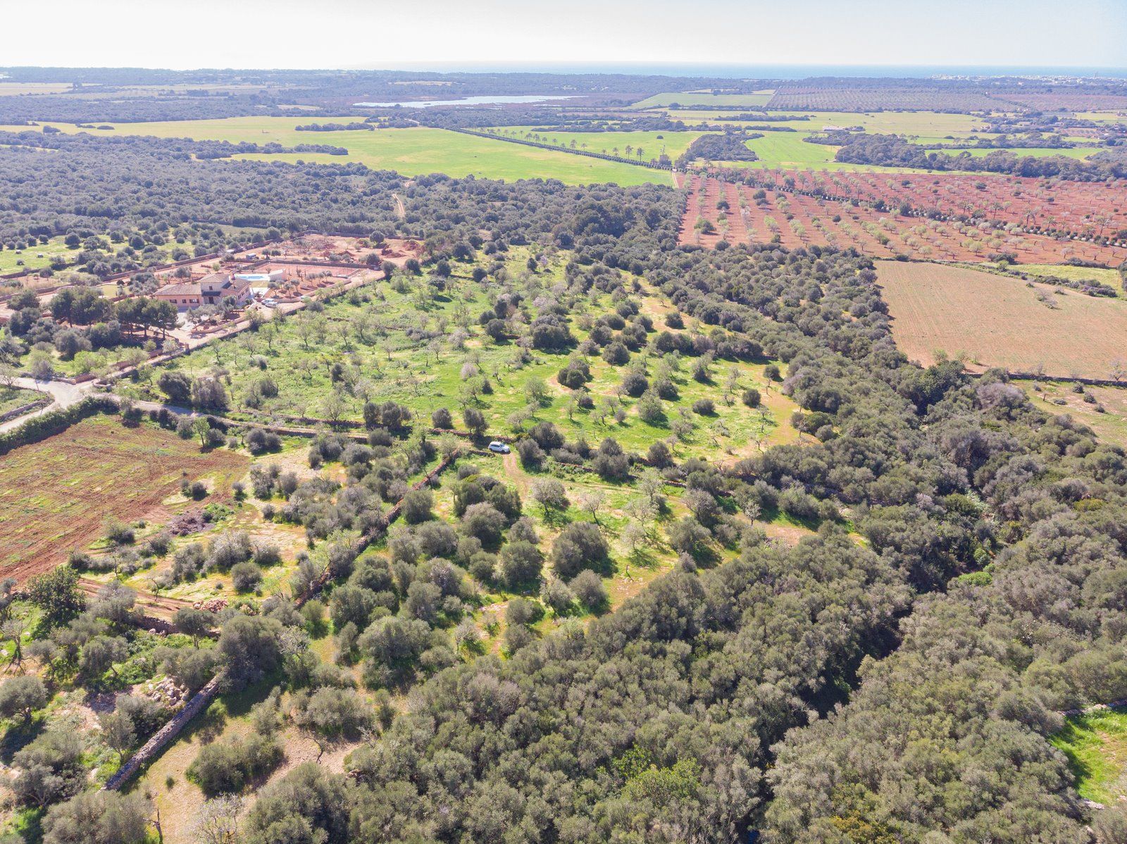 Rustic Land with Sea Views for Sale in Ses Salines, Mallorca