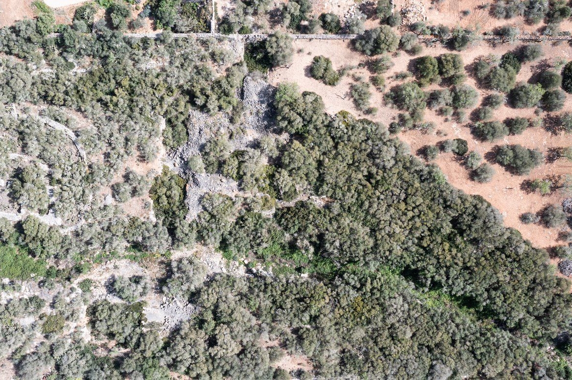 Rustic Land with Sea Views for Sale in Ses Salines, Mallorca