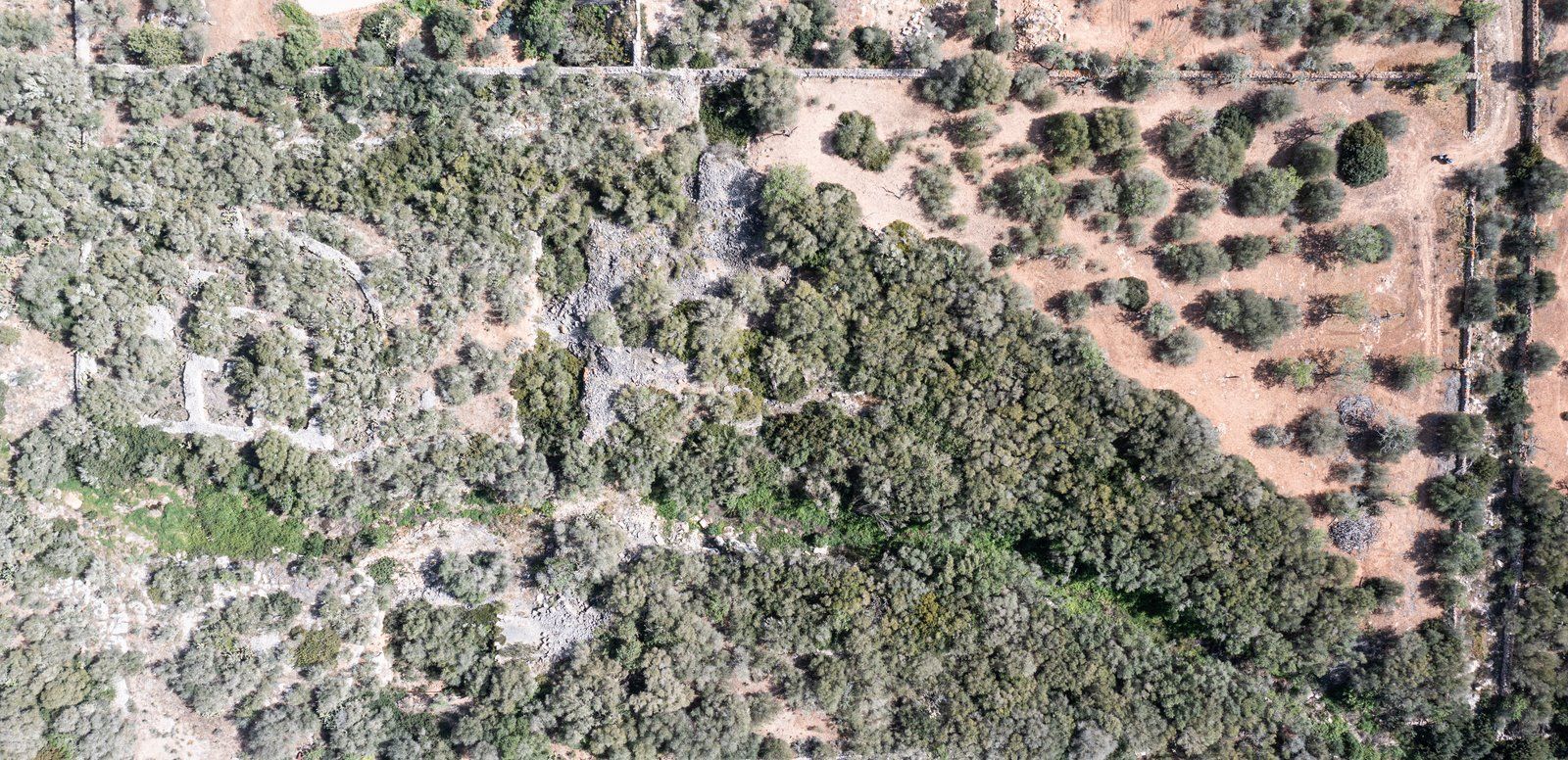 Rustic Land with Sea Views for Sale in Ses Salines, Mallorca