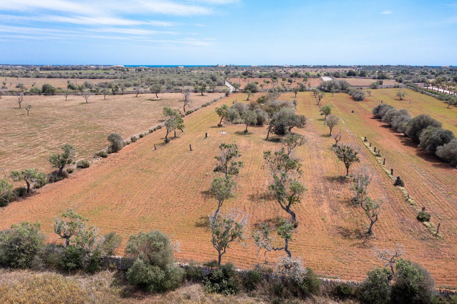 7-1202-Villasyfincasmallorca.jpg Rustic Land with Building Project Near Cala Llombards, Santanyí
