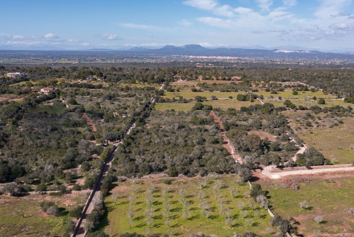 Rustikales Grundstück mit Meerblick in Ses Salines, Mallorca