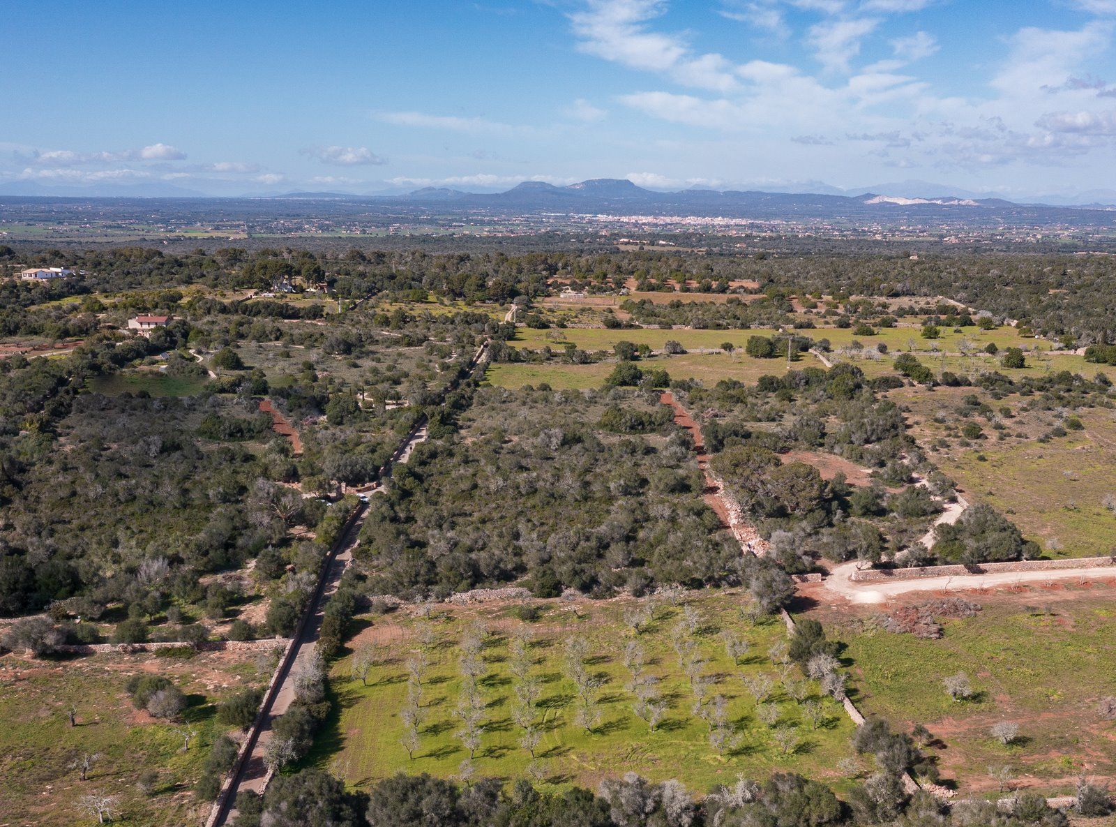 Rustikales Grundstück mit Meerblick in Ses Salines, Mallorca