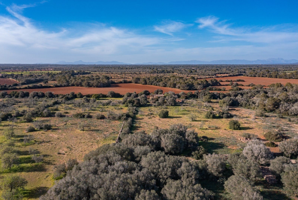 Finca rústica junto a Cala Pí — 136.400 m², término Llucmajor, a 10 min de la costa