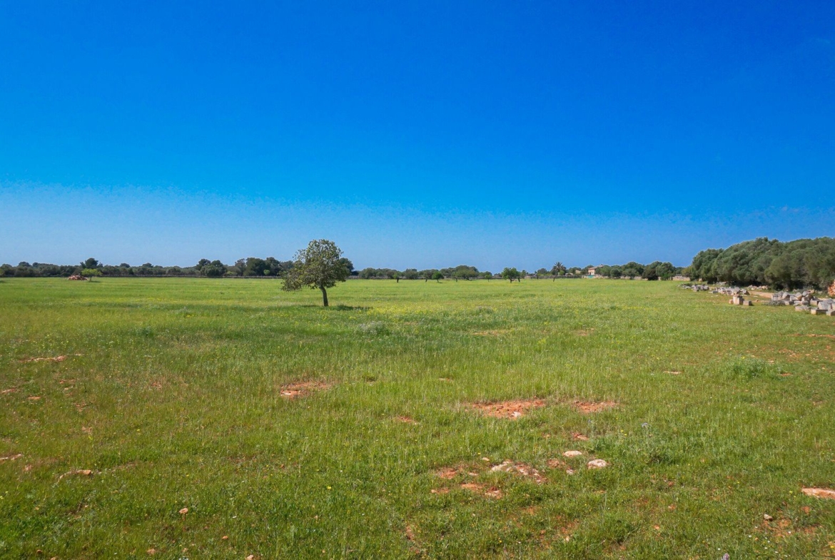 Finca rústica junto a Cala Pí — 136.400 m², término Llucmajor, a 10 min de la costa
