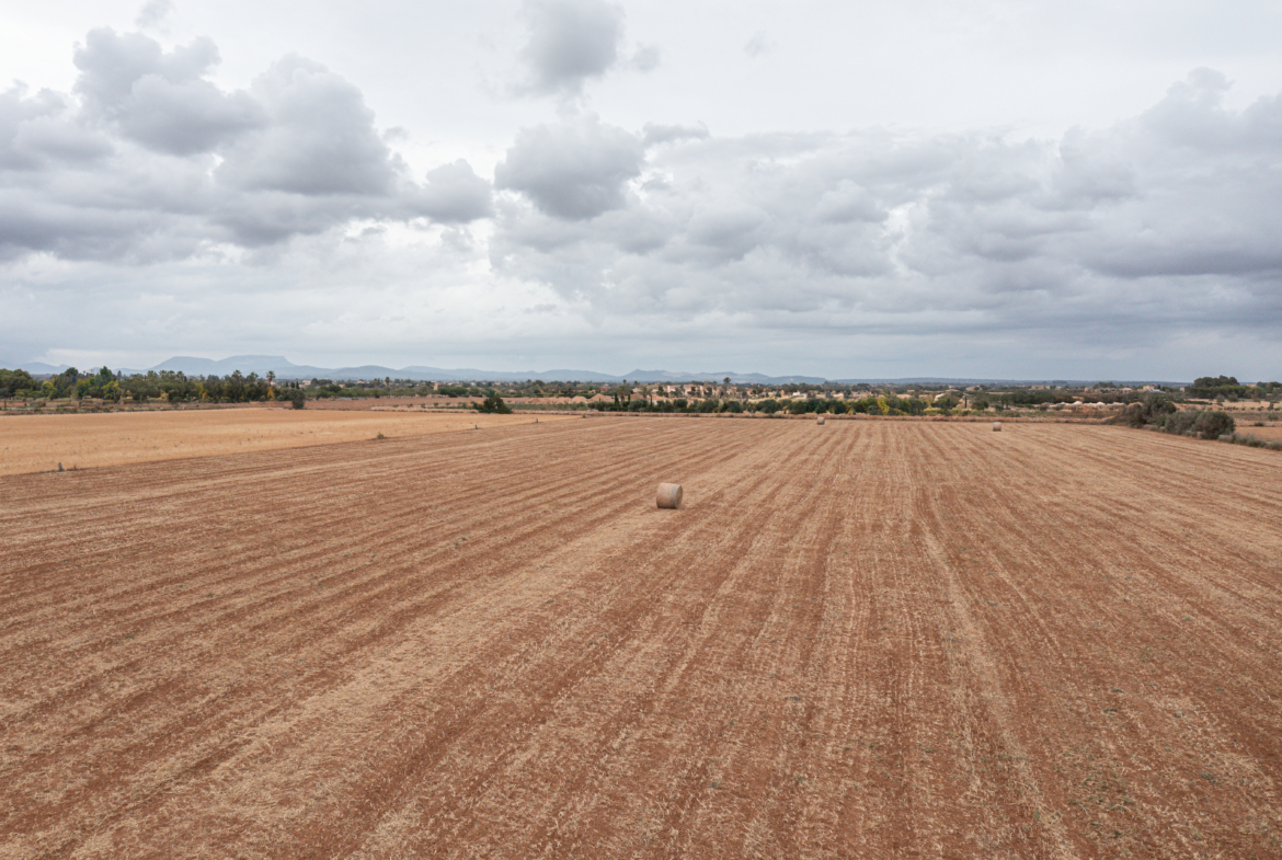Terreno edificable de 34.660 m² junto a Es Trenc y Ses Covetes