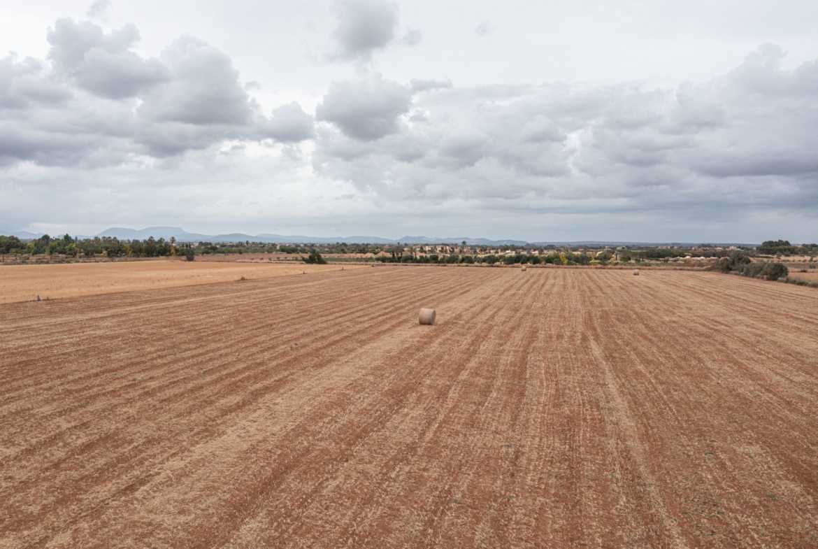 Terreno edificable de 34.660 m² junto a Es Trenc y Ses Covetes