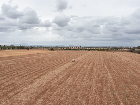 Terreno edificable de 34.660 m² junto a Es Trenc y Ses Covetes