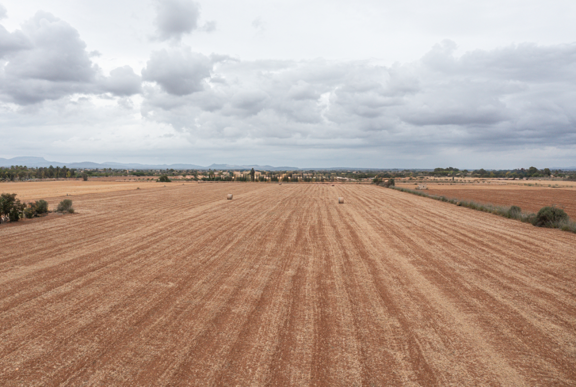 Terreno edificable de 34.660 m² junto a Es Trenc y Ses Covetes
