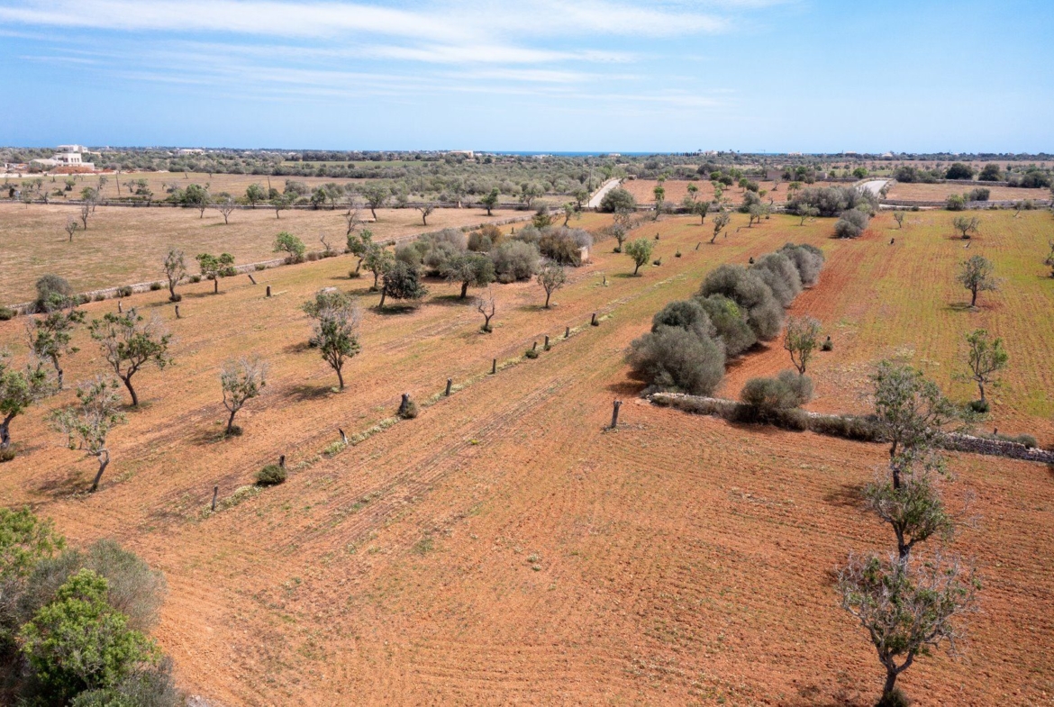 Rustic Land with Building Project Near Cala Llombards, Santanyí