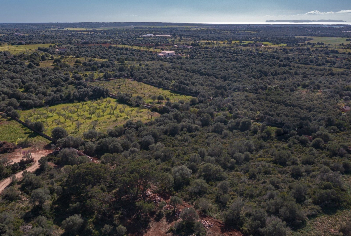 Rustikales Grundstück mit Meerblick in Ses Salines, Mallorca