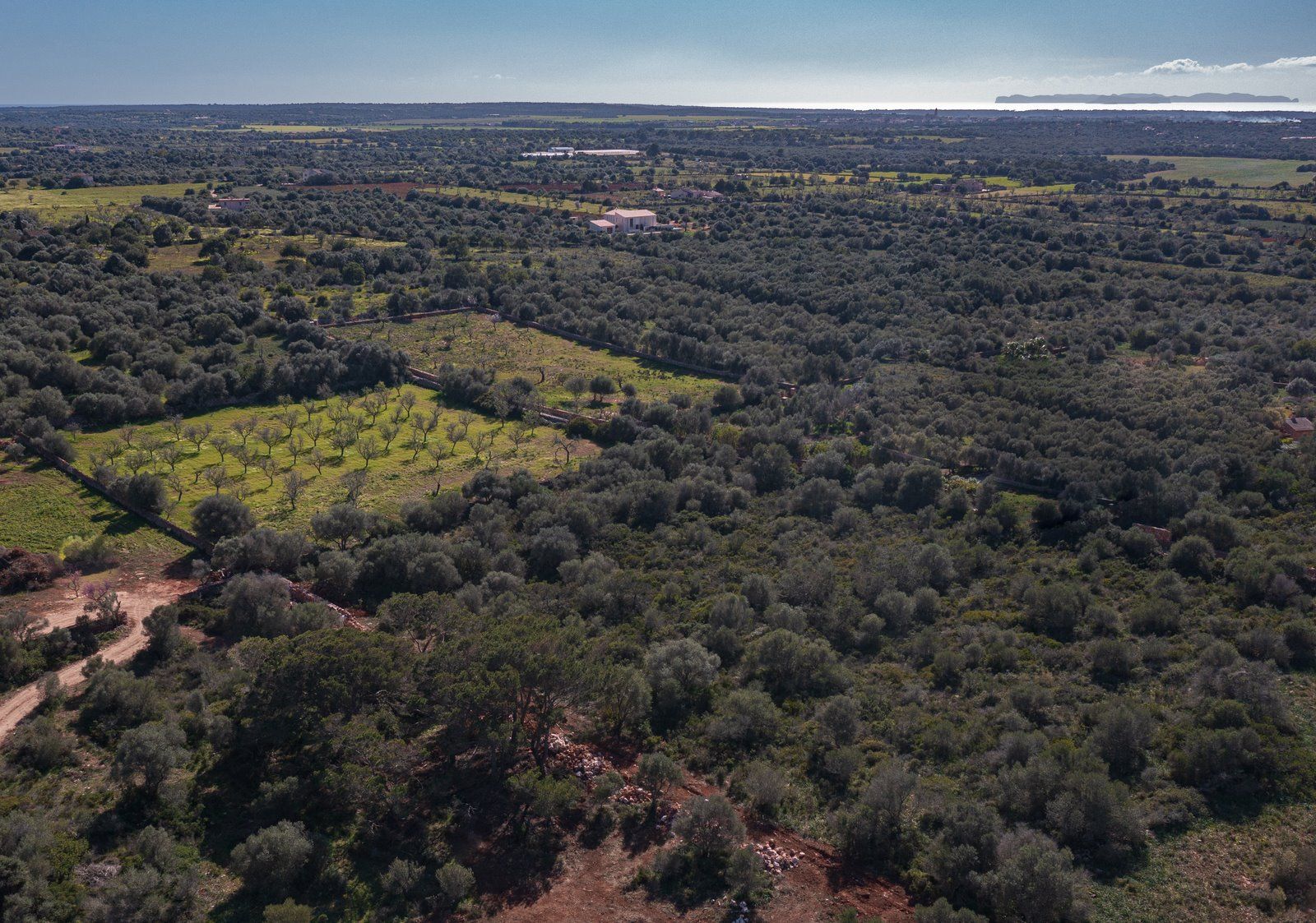 Rustikales Grundstück mit Meerblick in Ses Salines, Mallorca