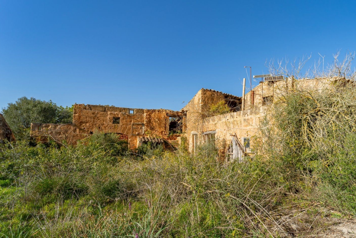 Finca rústica junto a Cala Pí — 136.400 m², término Llucmajor, a 10 min de la costa