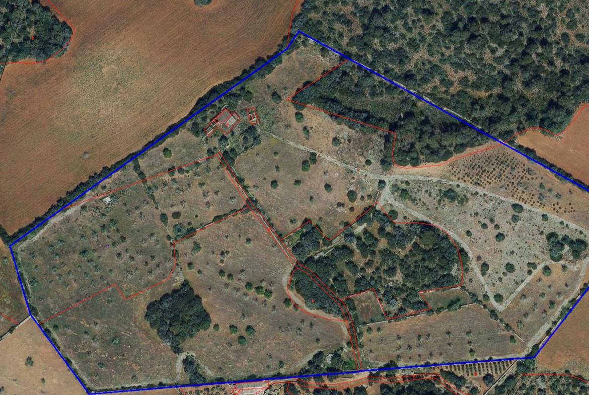 Finca rústica junto a Cala Pí — 136.400 m², término Llucmajor, a 10 min de la costa