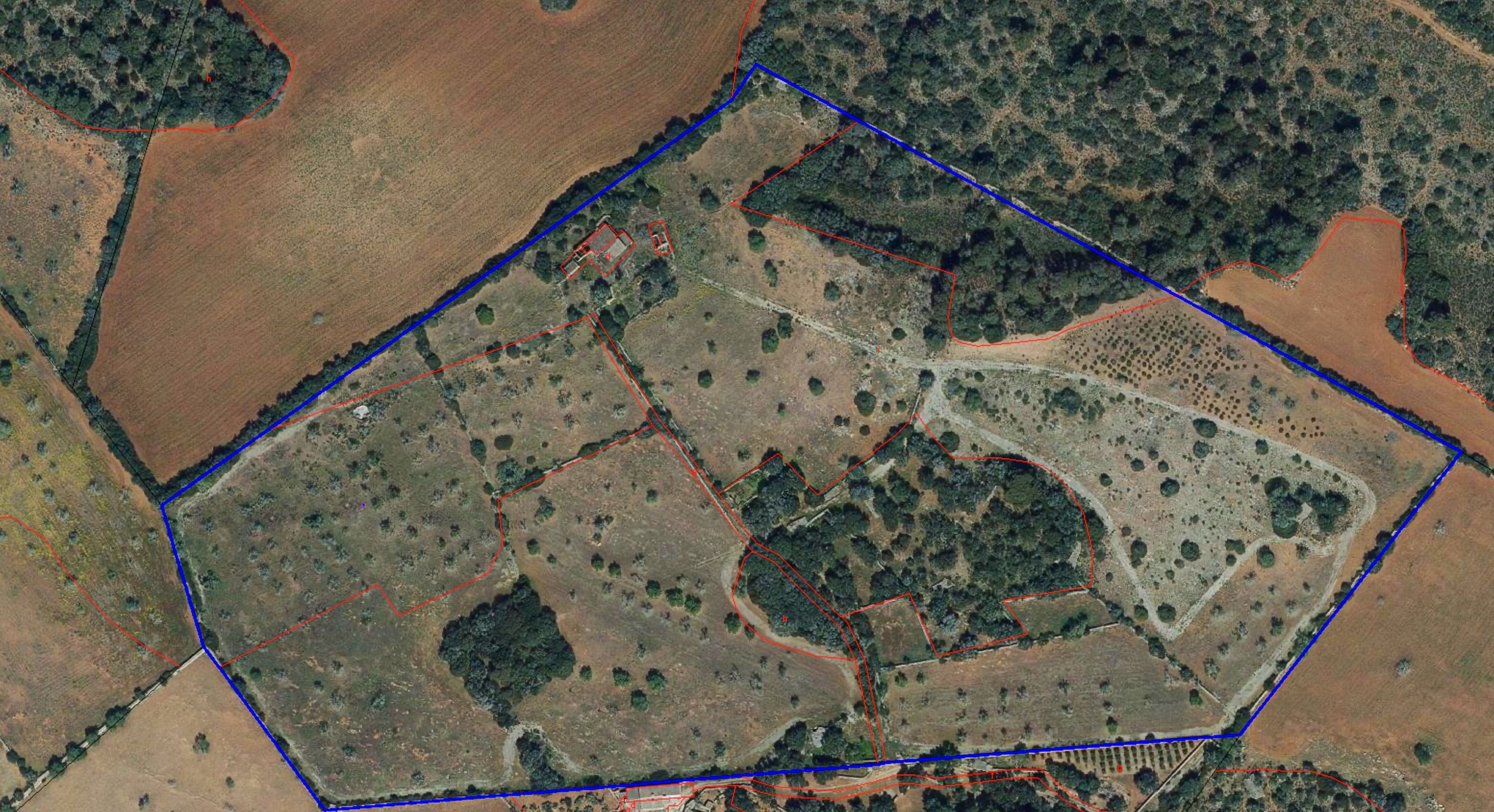 866-19.jpg Finca rústica junto a Cala Pí — 136.400 m², término Llucmajor, a 10 min de la costa
