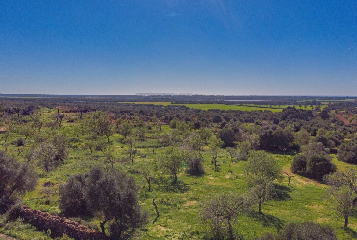 Rustic Land with Sea Views for Sale in Ses Salines, Mallorca