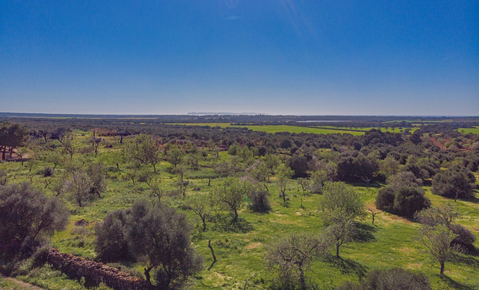 Rustic Land with Sea Views for Sale in Ses Salines, Mallorca