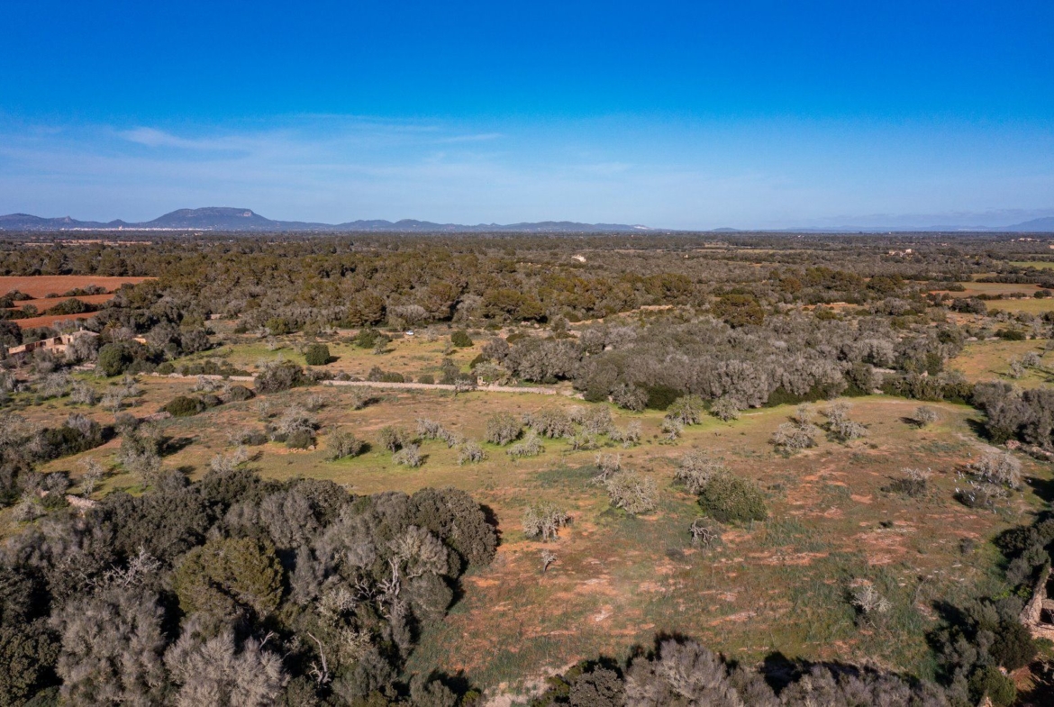 Finca rústica junto a Cala Pí — 136.400 m², término Llucmajor, a 10 min de la costa