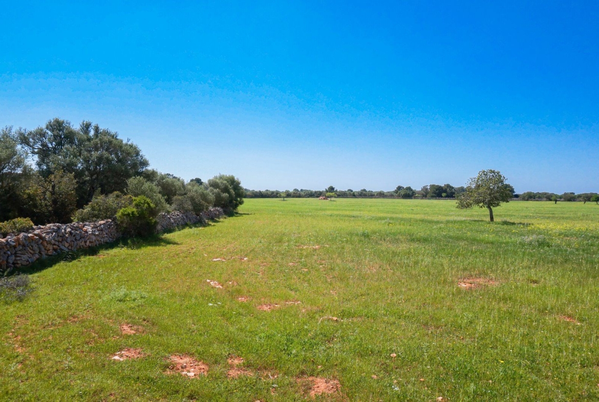 Finca rústica junto a Cala Pí — 136.400 m², término Llucmajor, a 10 min de la costa