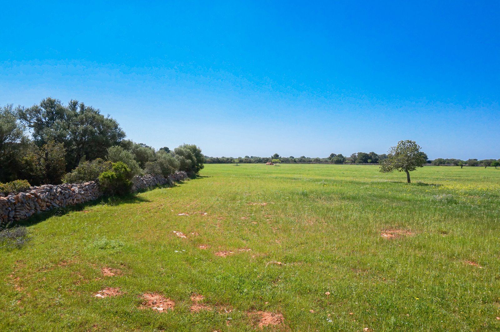 9-866-Villasyfincasmallorca.jpg Finca rústica junto a Cala Pí — 136.400 m², término Llucmajor, a 10 min de la costa