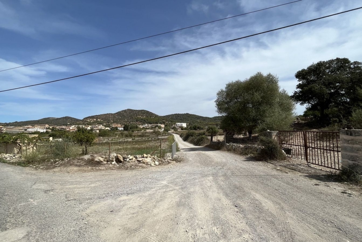 Casa de campo en Son Macià – finca rústica con jardín en Manacor