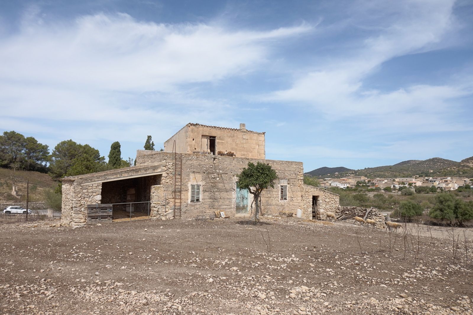 DAV22090705.jpg Casa de campo en Son Macià – finca rústica con jardín en Manacor