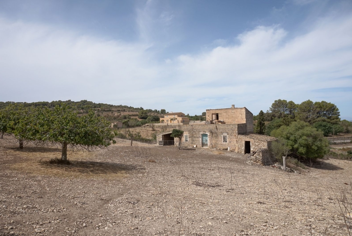 Casa de campo en Son Macià – finca rústica con jardín en Manacor