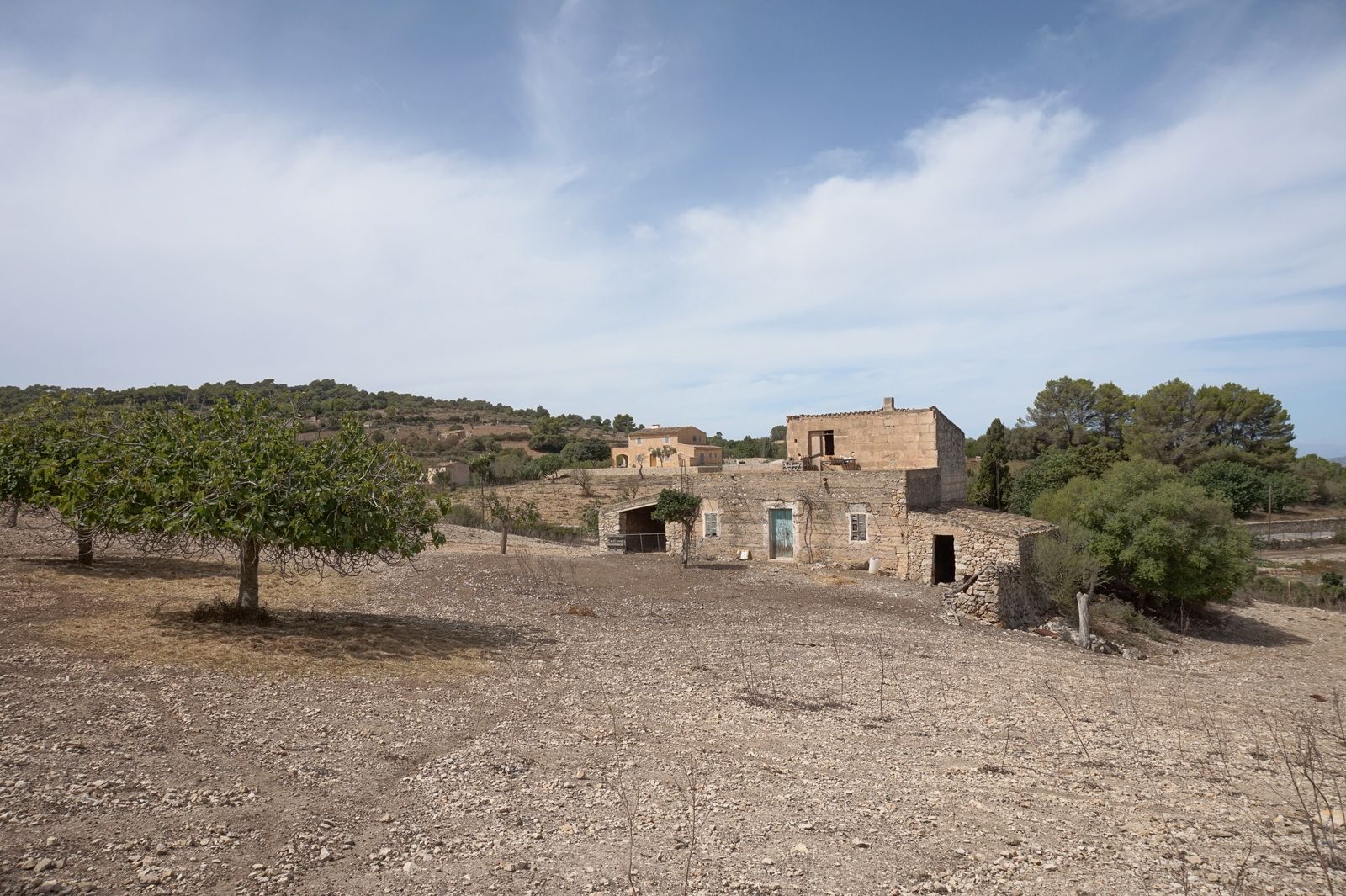 DAV22090707.jpg Casa de campo en Son Macià – finca rústica con jardín en Manacor