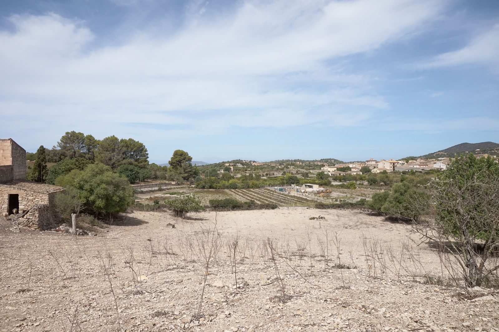 DAV22090708.jpg Casa de campo en Son Macià – finca rústica con jardín en Manacor