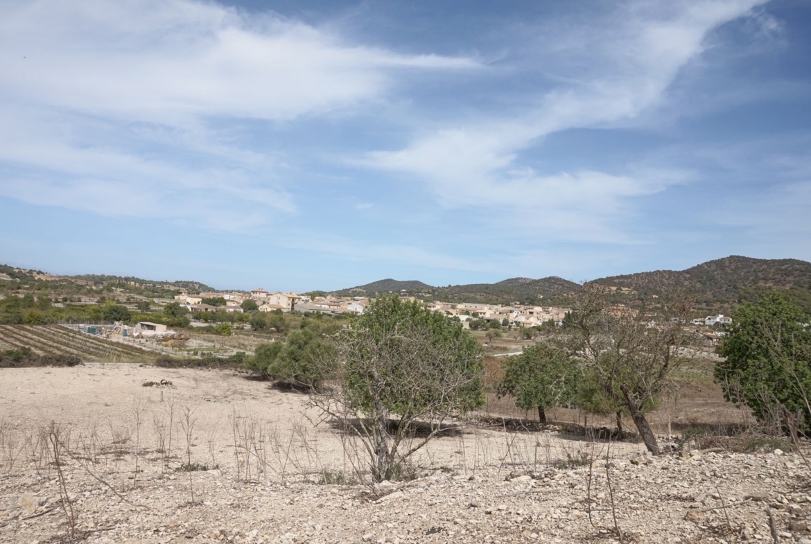 Casa de campo en Son Macià – finca rústica con jardín en Manacor