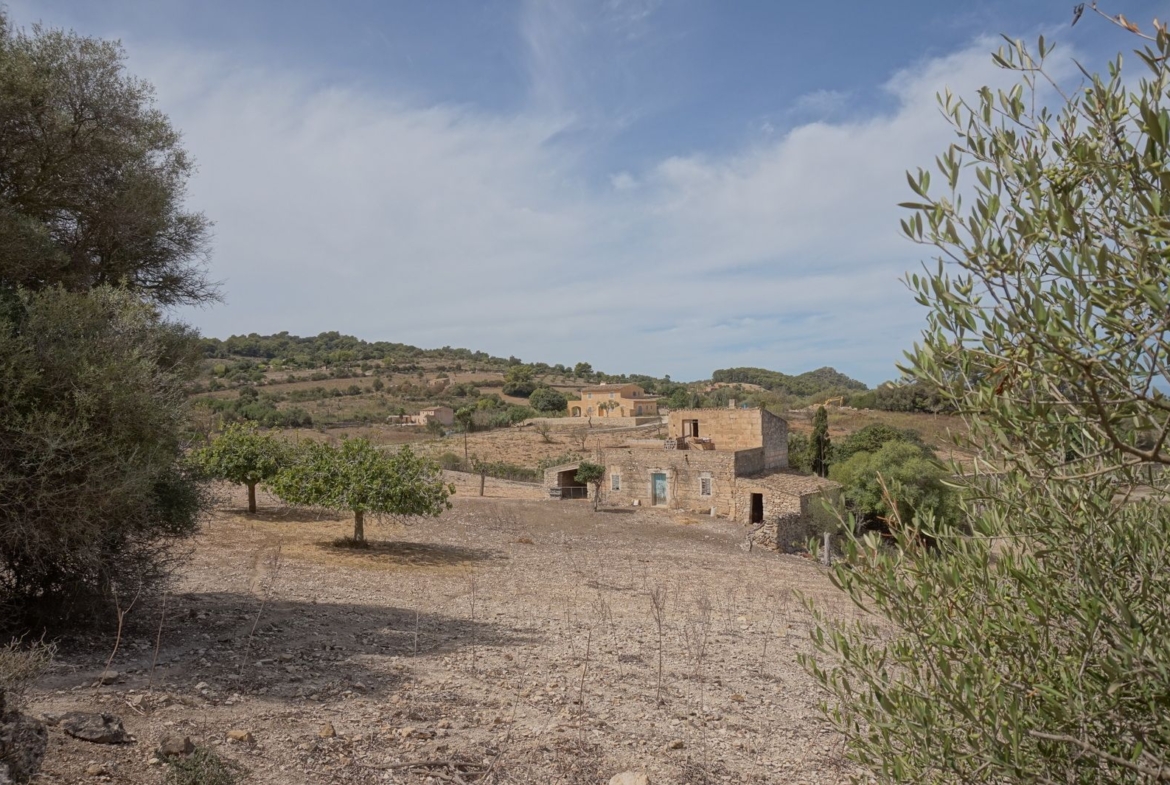 Casa de campo en Son Macià – finca rústica con jardín en Manacor