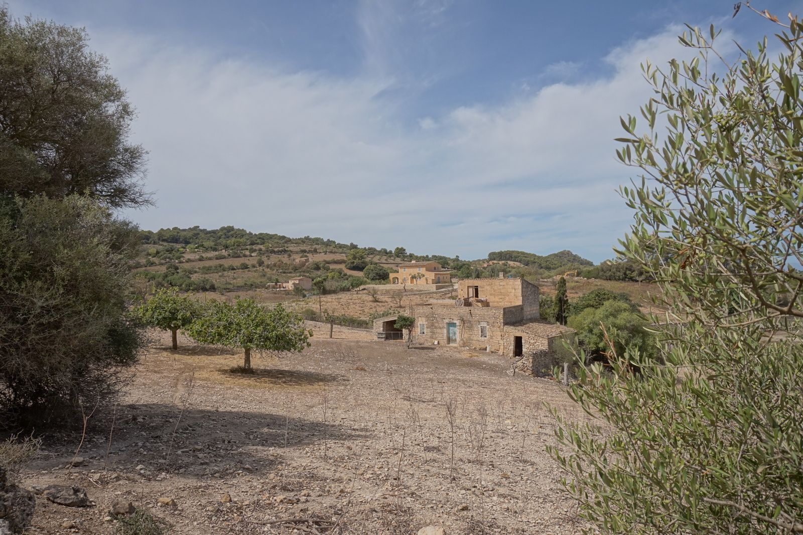 DAV22090710.jpg Casa de campo en Son Macià – finca rústica con jardín en Manacor