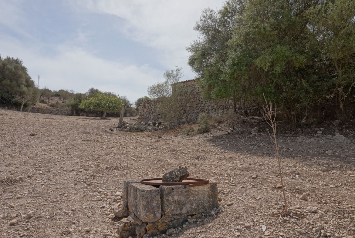 Casa de campo en Son Macià – finca rústica con jardín en Manacor